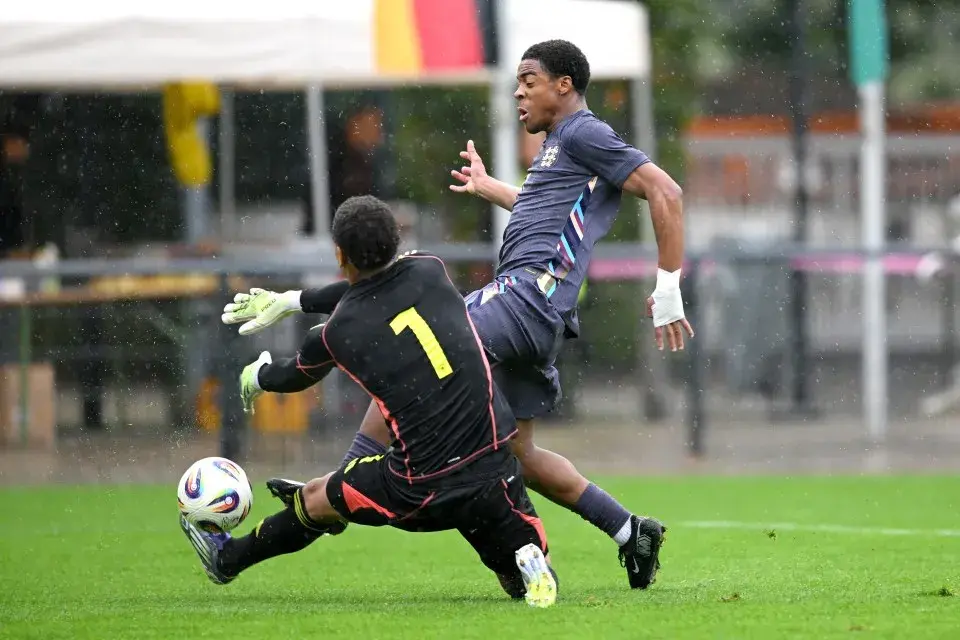 tenan, 合同的框架, 麦昆只能继 tenan, 合同的框架, 麦昆只能继