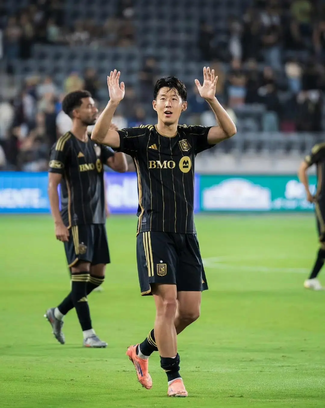 格转会美职, msn, tenan 格转会美职, msn, tenan