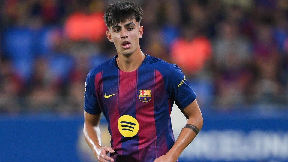 夏季完成 夏季完成