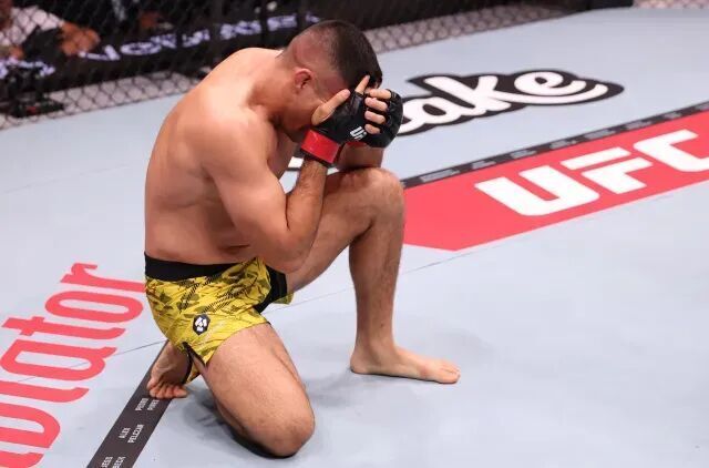 周六, 阿尔梅达, 周六 周六, 阿尔梅达, 周六